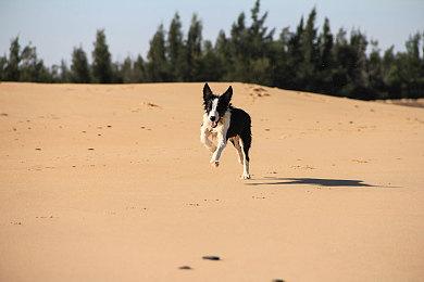 《最终幻想16》美图分享